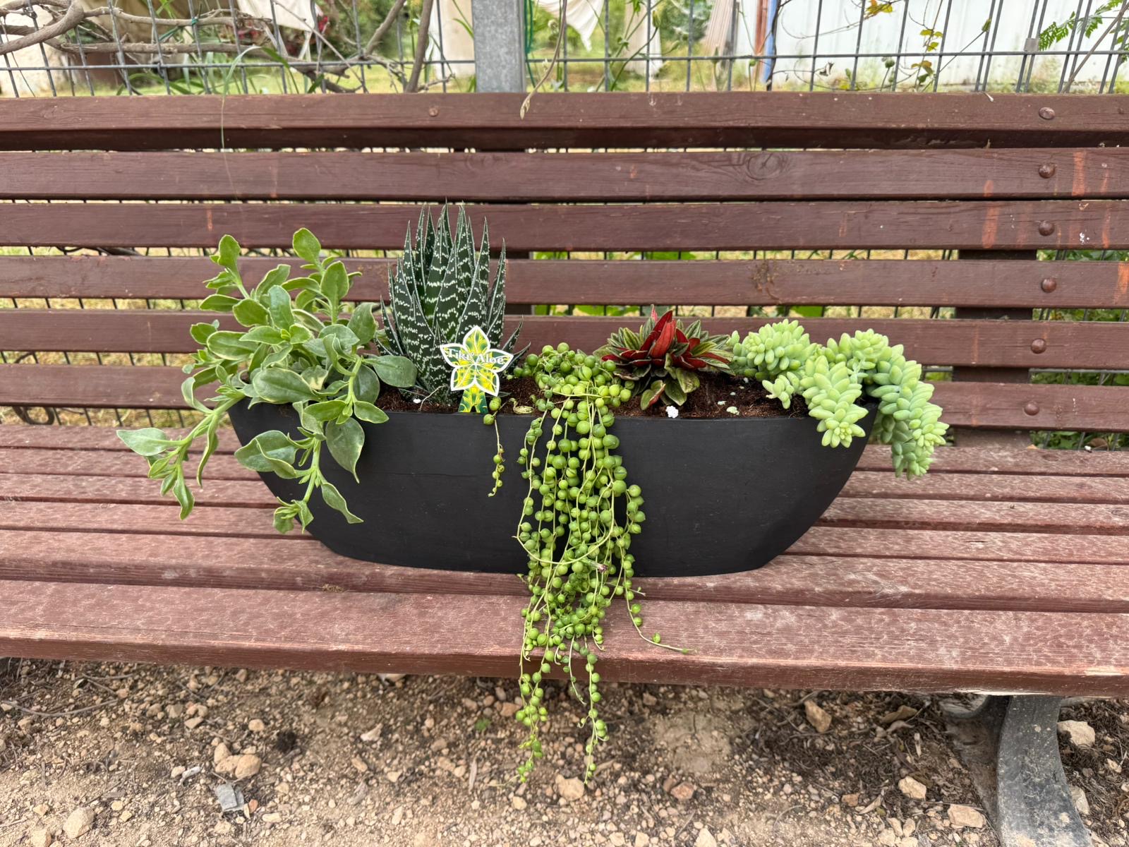 קערת Pure Bowl ליד ספסל — פינת ישיבה. צילום פרויקט אמיתי של Ecopots בישראל