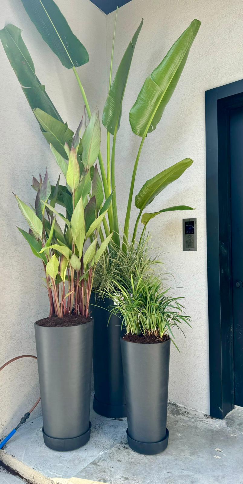 כניסה פרטית לבית, שלושה עציצי Pure של Ecopots בגדלים שונים מסודרים בקבוצה ליד הדלת
