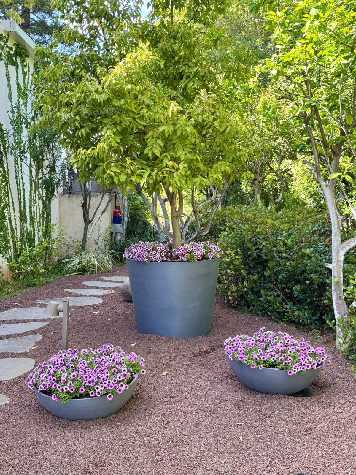 עציץ Cylinder XL בגן — גן מתחם. צילום פרויקט אמיתי של Ecopots בישראל