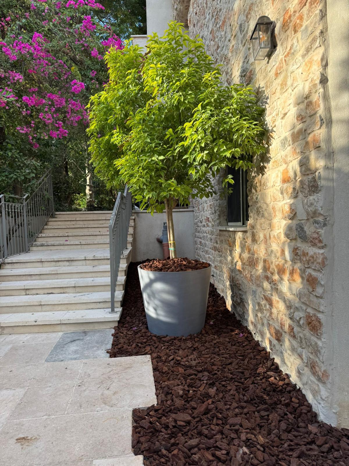 עציץ Cylinder XL בכניסה — וילת אבן. צילום פרויקט אמיתי של Ecopots בישראל